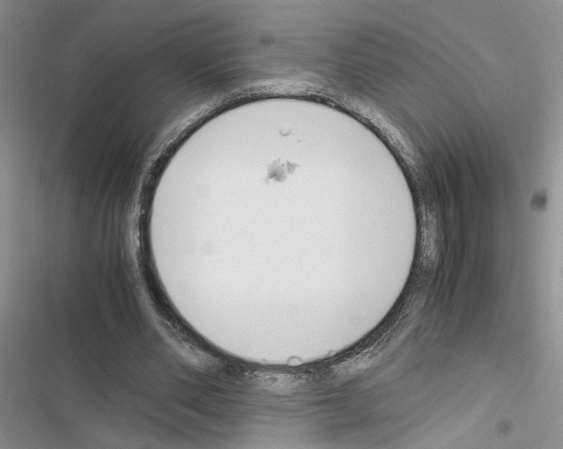 X0000116620486201001221343