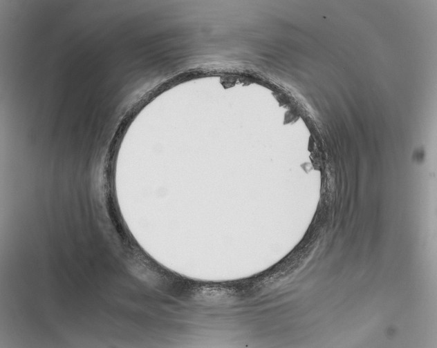X0000116620487201001221343