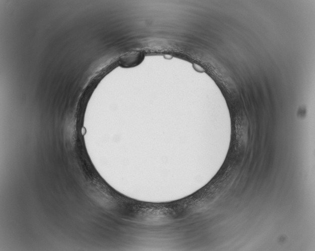 X0000116620488201001221343
