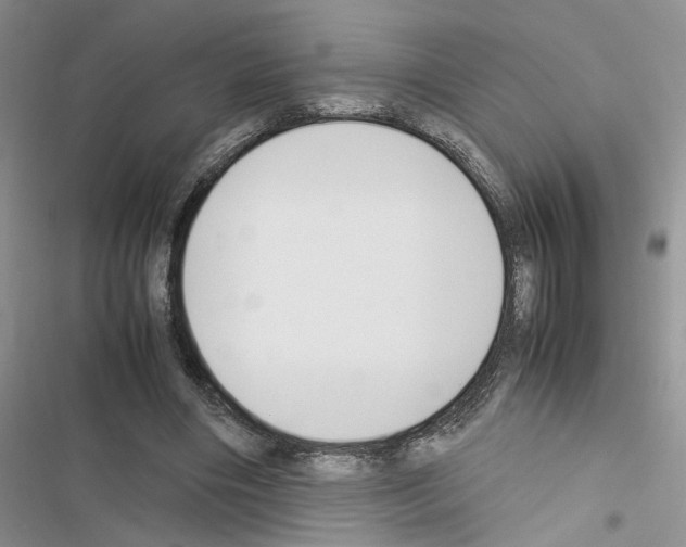 X0000116620490201001221343