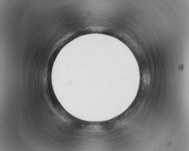 X0000116620492201001221343