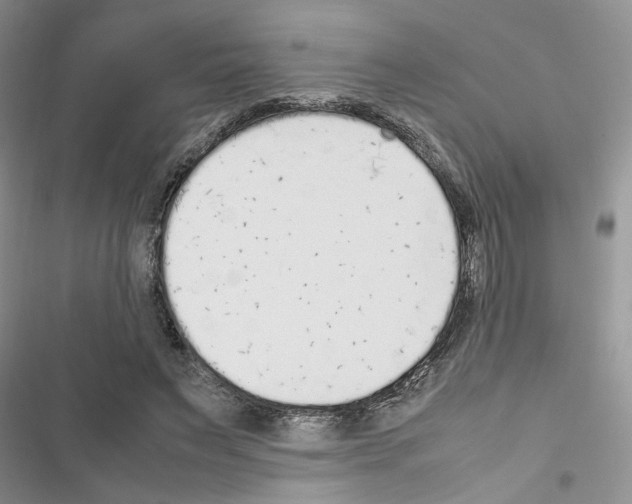 X0000116620495201001221343
