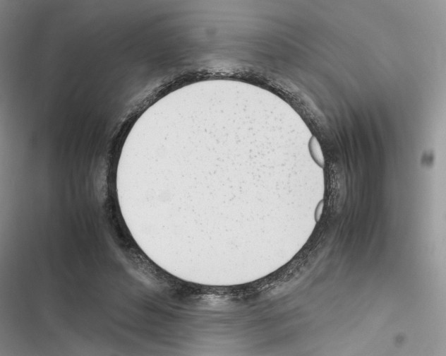 X0000116620496201001221343