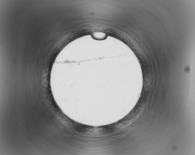 X0000116620497201001221343