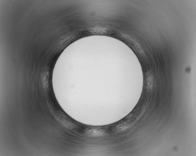 X0000116620498201001221343