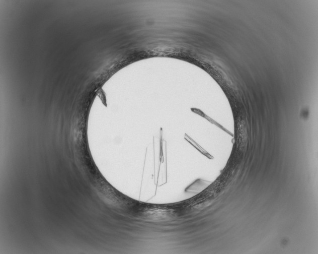 X0000116620499201001221343