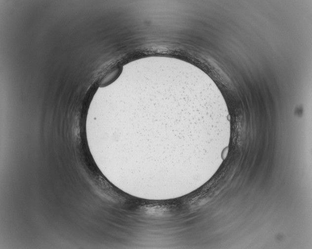 X0000116620500201001221343