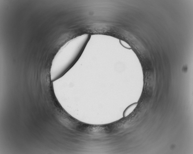 X0000116620501201001221343