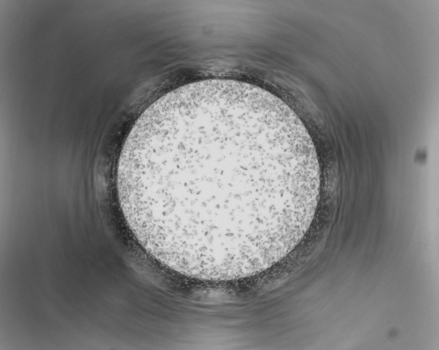 X0000116620503201001221343