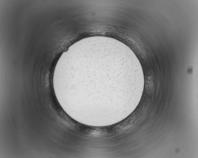 X0000116620504201001221343