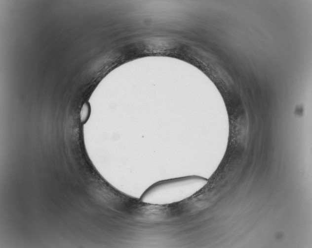 X0000116620505201001221343