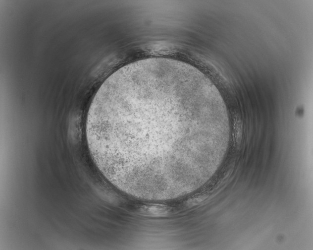 X0000116620506201001221342