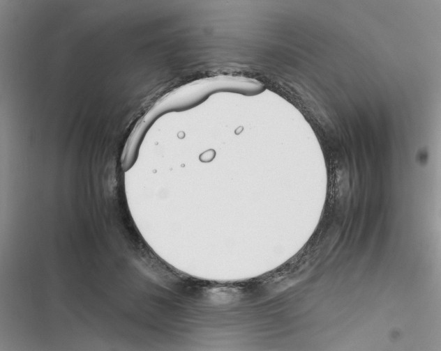 X0000116620508201001221342