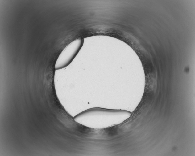 X0000116620509201001221342