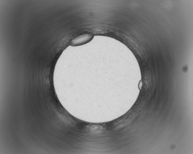 X0000116620512201001221342