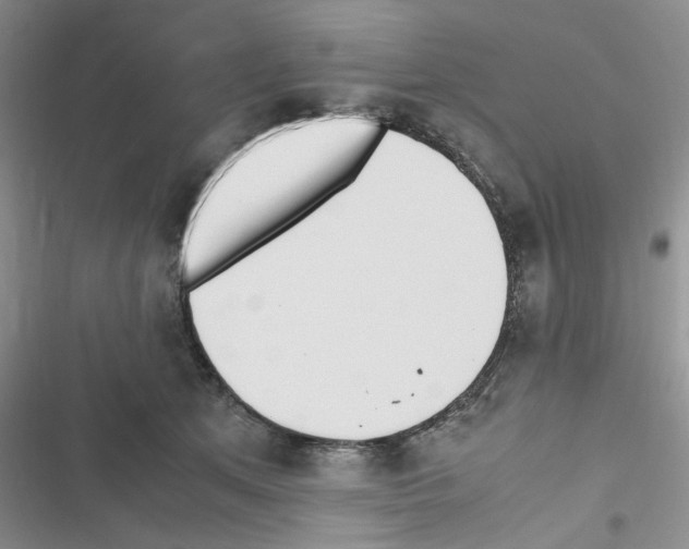 X0000116620513201001221342