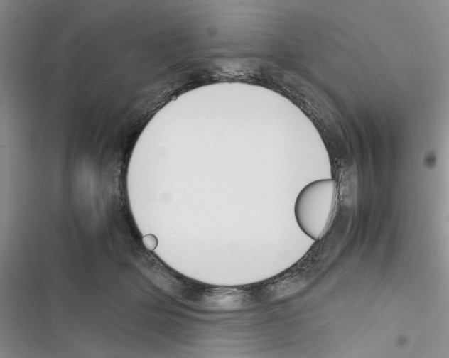 X0000116620514201001221342
