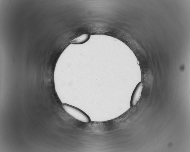 X0000116620517201001221342