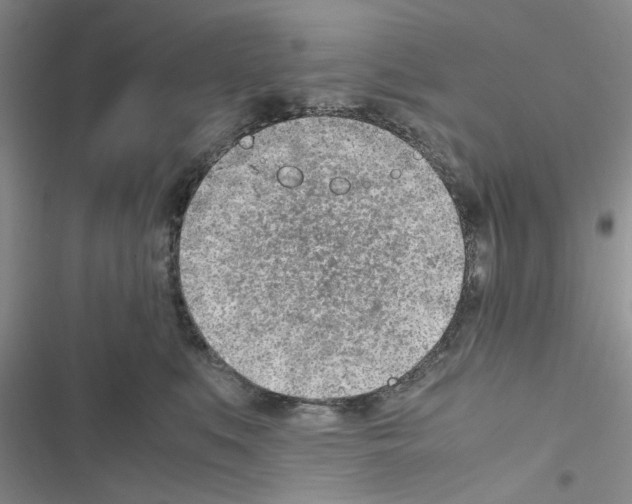 X0000116620519201001221342