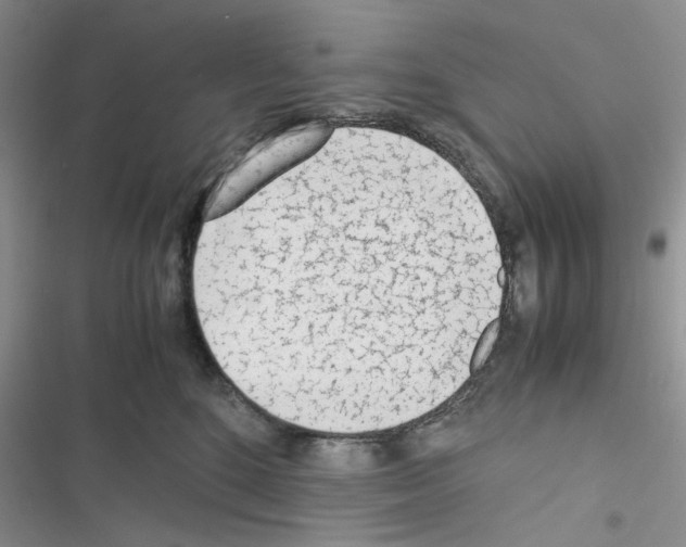 X0000116620520201001221342