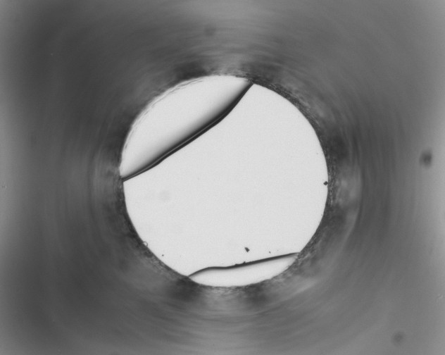 X0000116620521201001221342