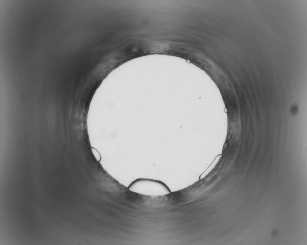 X0000116620525201001221342