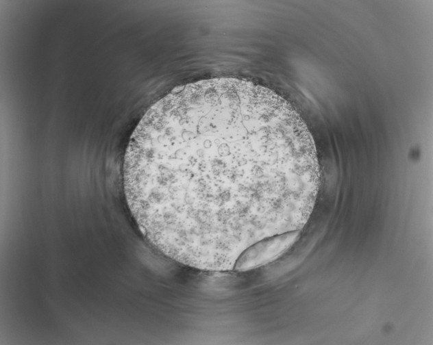 X0000116620527201001221342