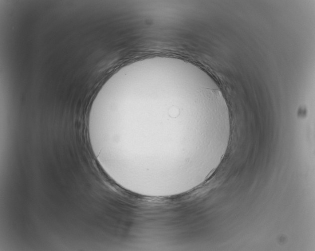 X0000116620528201001221342