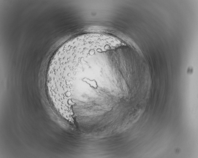 X0000116620529201001221342