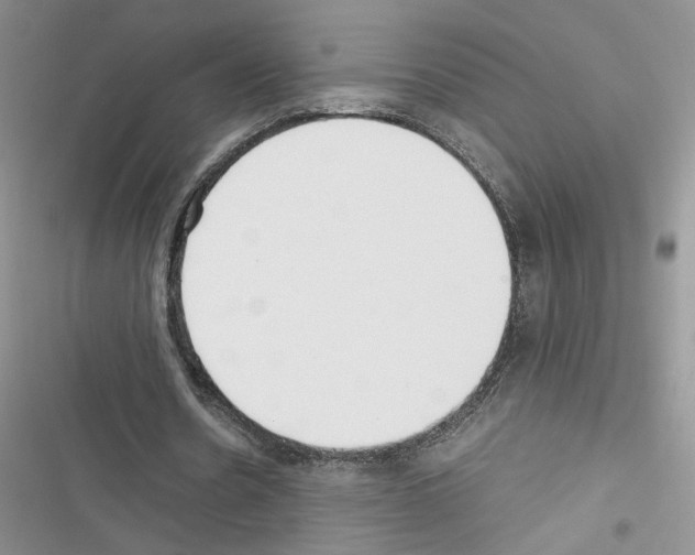 X0000116620530201001221342