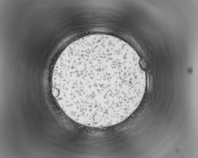 X0000116620531201001221342