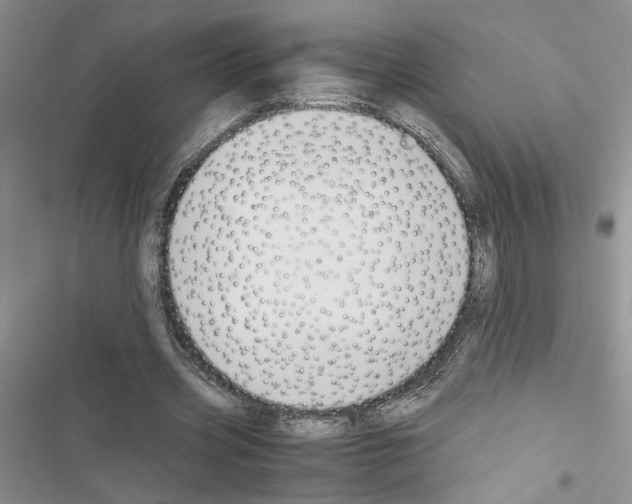 X0000116620533201001221342