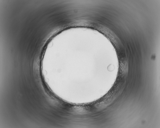 X0000116620534201001221342