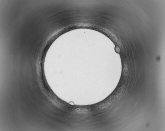 X0000116620535201001221342