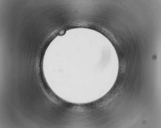 X0000116620538201001221342