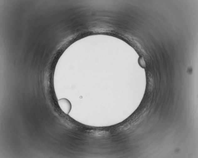 X0000116620539201001221342
