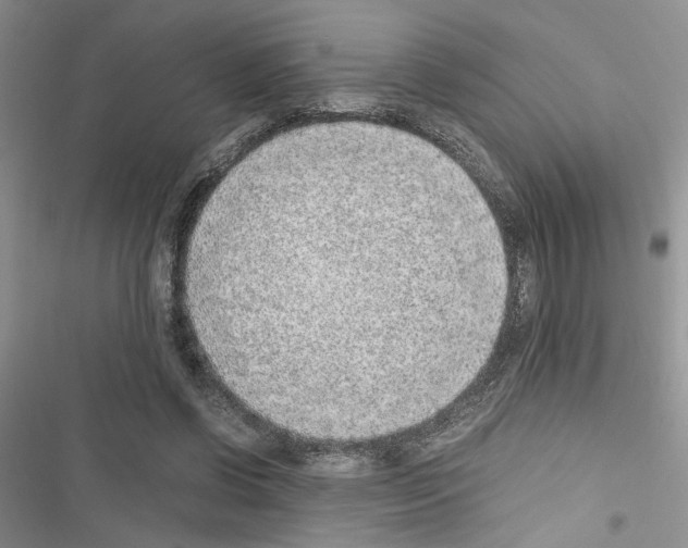 X0000116620542201001221342