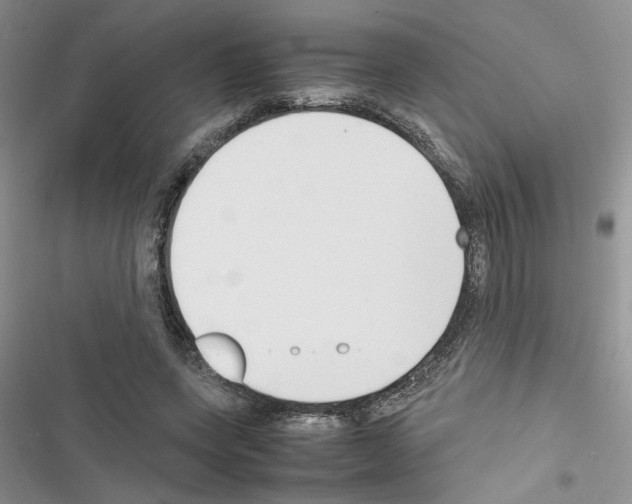 X0000116620543201001221342
