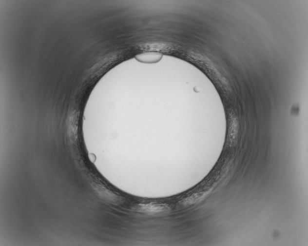 X0000116620545201001221342