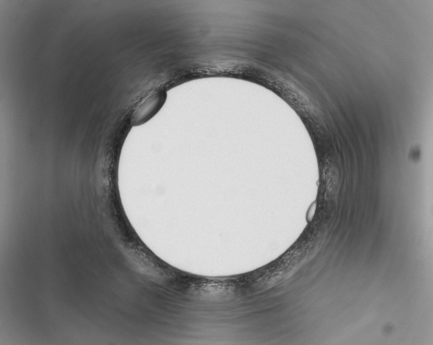 X0000116620546201001221342