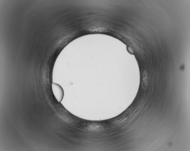 X0000116620547201001221342