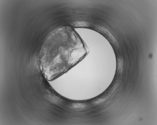 X0000116620549201001221342