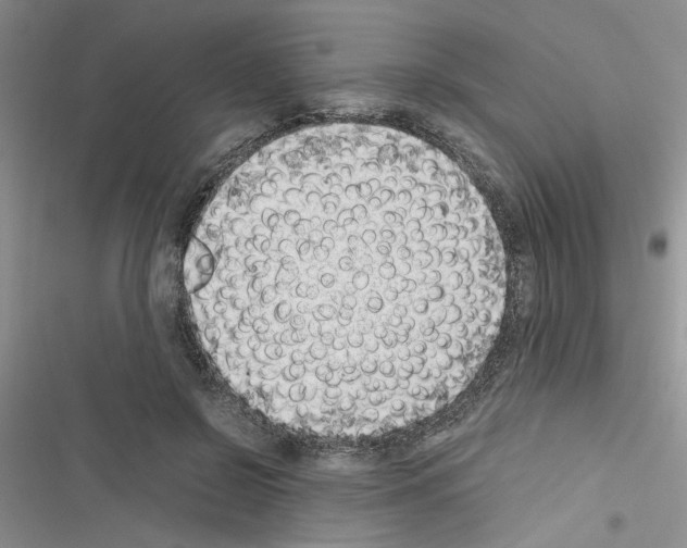 X0000116620550201001221342