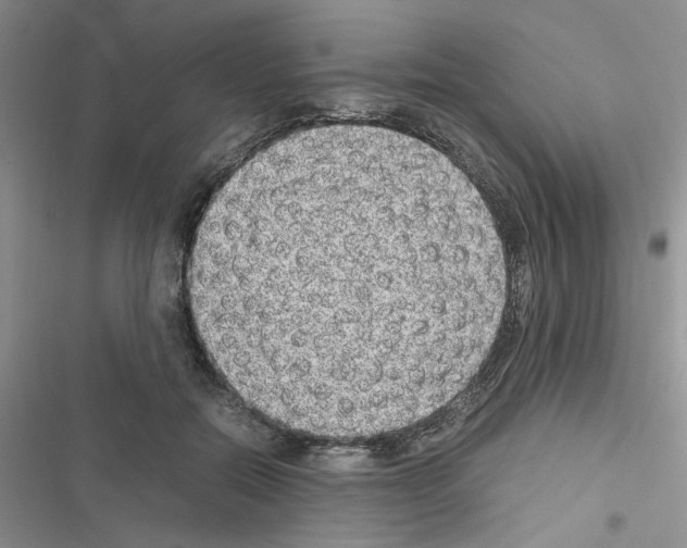 X0000116620554201001221342