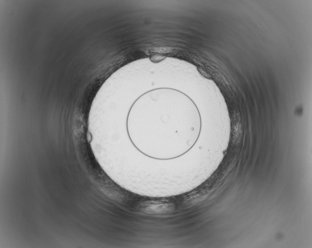 X0000116620555201001221342