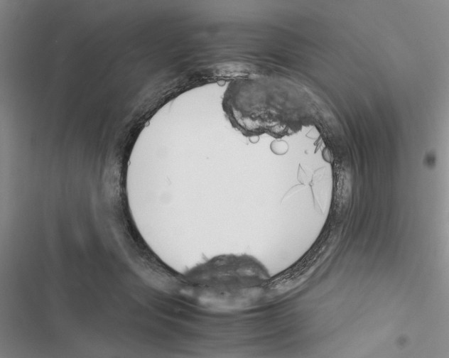 X0000116620557201001221342