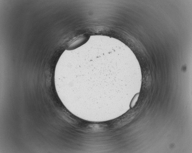 X0000116620558201001221342