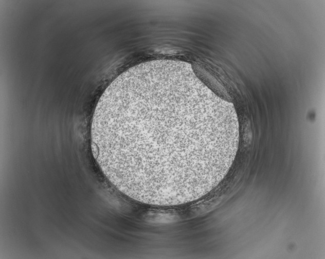 X0000116620559201001221342