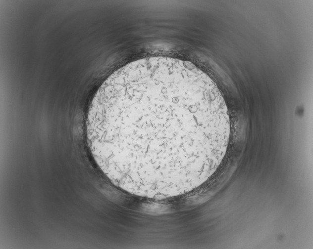 X0000116620561201001221342