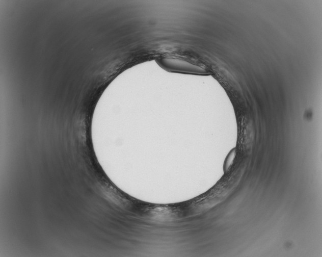 X0000116620562201001221342